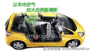有效去除车内异味的5个小窍门 