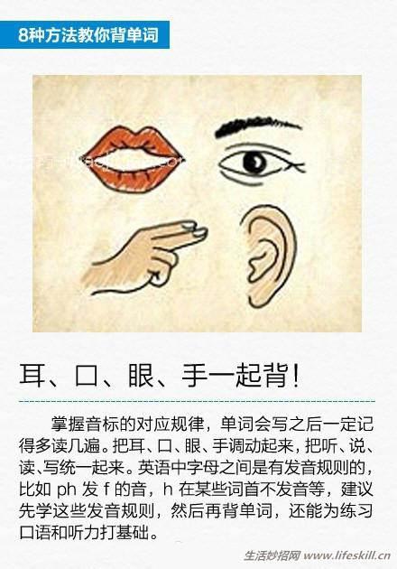 单词记不住？八种小方法来帮你