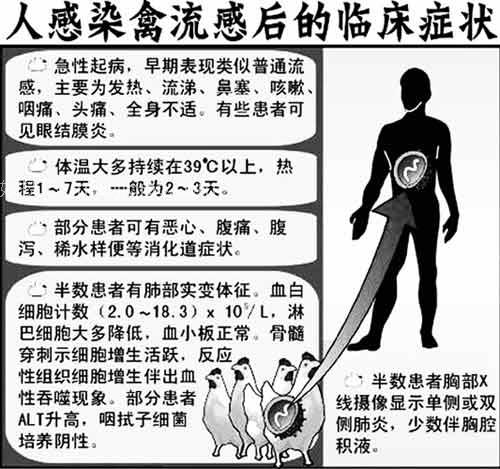 防治禽流感小常识