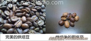 如何辨别瑕疵的咖啡豆？