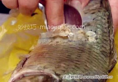 细小鱼鳞如何刮干净？ 
