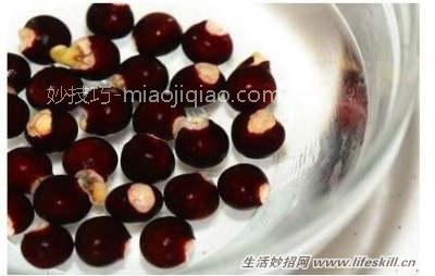 吃剩的果核莫扔！教你做5种简易绿色盆栽