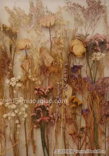 制作干花的6种小方法
