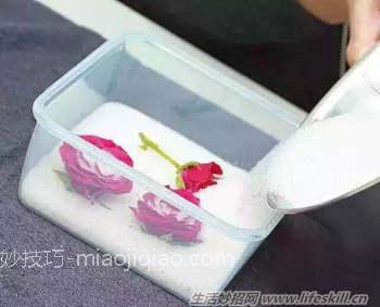 制作干花的6种小方法