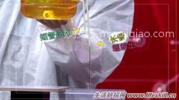 巧用塑料瓶和吸管制作自动添水器
