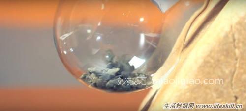 巧用废灯泡制作漂亮的盆栽
