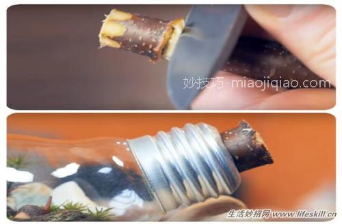 巧用废灯泡制作漂亮的盆栽