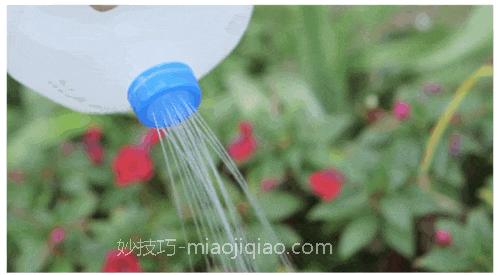 巧用喝剩下来的牛奶瓶制作园艺用品