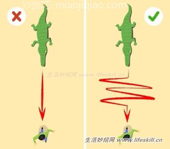 9个避难求生小知识