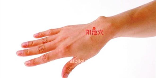新娘瘦手臂按摩方法 找准穴位很关键